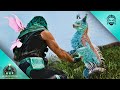 I Tamed the New Veilwyn and It's OP! | ARK: Ragnarok [E8]