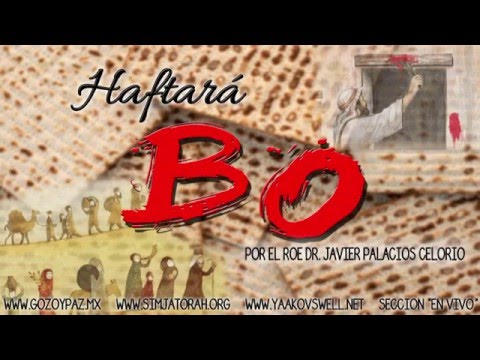 Vídeo: Què està llegint Haftarah?