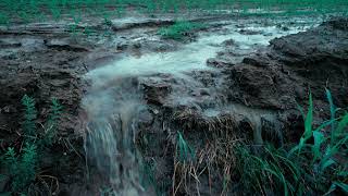 Nutrient pollution | Wikipedia audio article