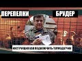 ПЕРЕПЕЛКИ . Новый брудер. Лучший термодатчик. ДАЧА для пе