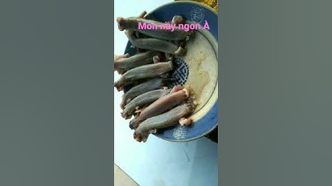 bẩy rắn mối "" sào sã ớt.