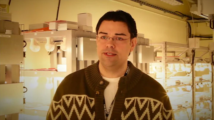 IKEA Test Lab (2018)