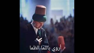 فيك كل ما أرى حسن حسن حفار