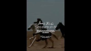 ياسر الدوسري - سورة الأنفال #الحمدلله #allah #allahuakbar #quran #قرآن #لا_اله_الا_الله #مكة