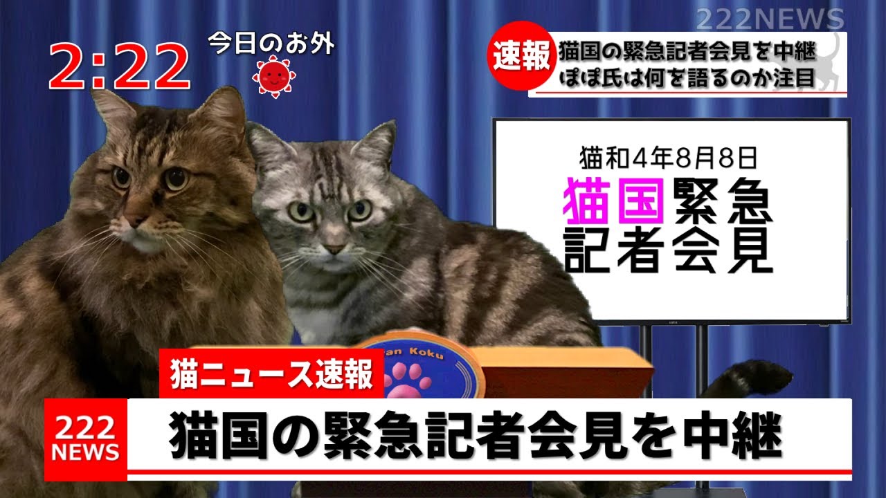 芸能関連情報2
【世界猫の日 英語】 動画・内容・感想【2022 速報情報 まとめ】
コメント