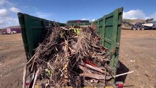 Areca Palm Removal | Maui Green Waste Hauling