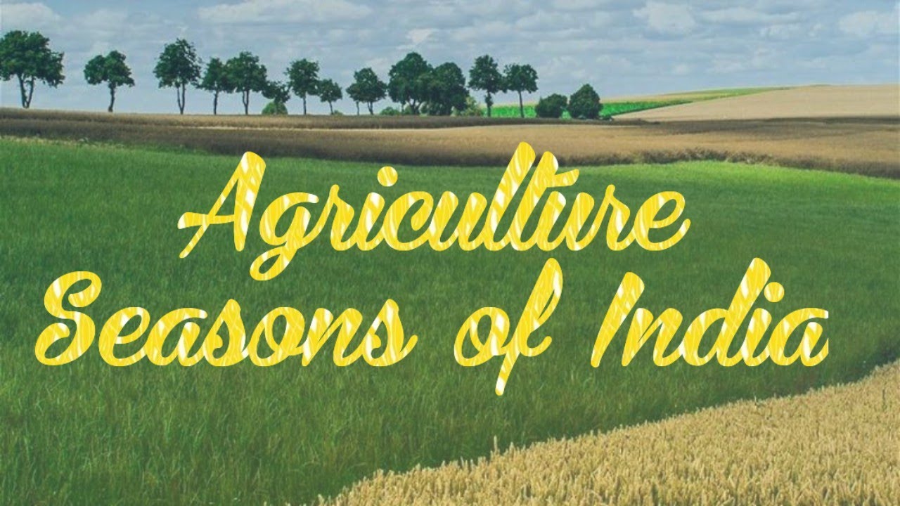 What are the major agriculture seasons of India? @Abhimanyu.Dahiya ...