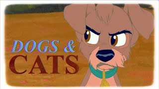 Dogs & Cats Animash