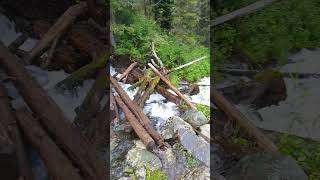 #горныйалтай #горныйвоздух #походвгоры