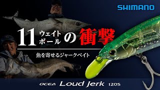 ボッコム　ルアー　2個 Loud Jerk 120S [The pinnacle of SW jerkbaits / Equipped with