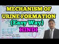 #NEET#NCERT#Mechanism Of Urine Formation in Hindi (Easy Way)