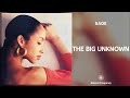Sade The Big Unknown 432Hz mp3