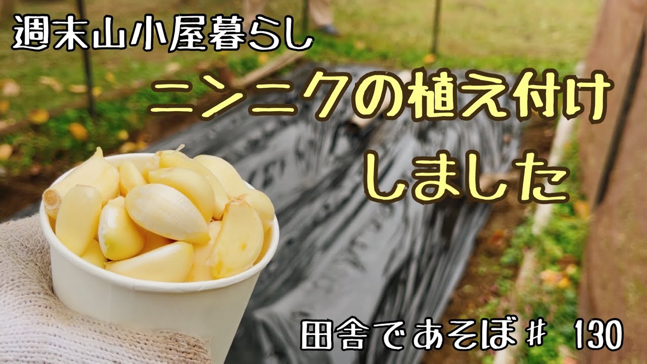 ニンニクの植え付けをしました！　田舎であそぼ♯130