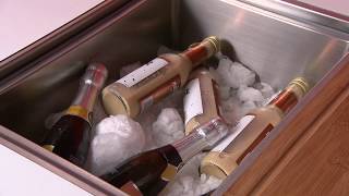 Ikon Sink Station & Insert Sink