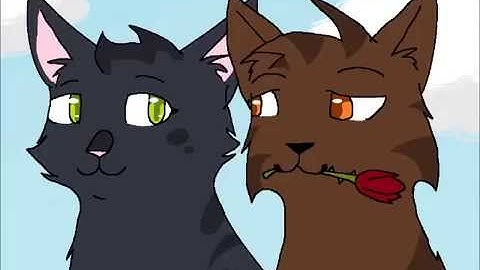 MAP Part 12 ~Tribut to Warrior Cats~