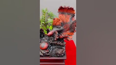 TÁC PHẨM CÁ XIÊM ĐÔI GỖ TRẮC ĐỎ ĐEN C48N55S24