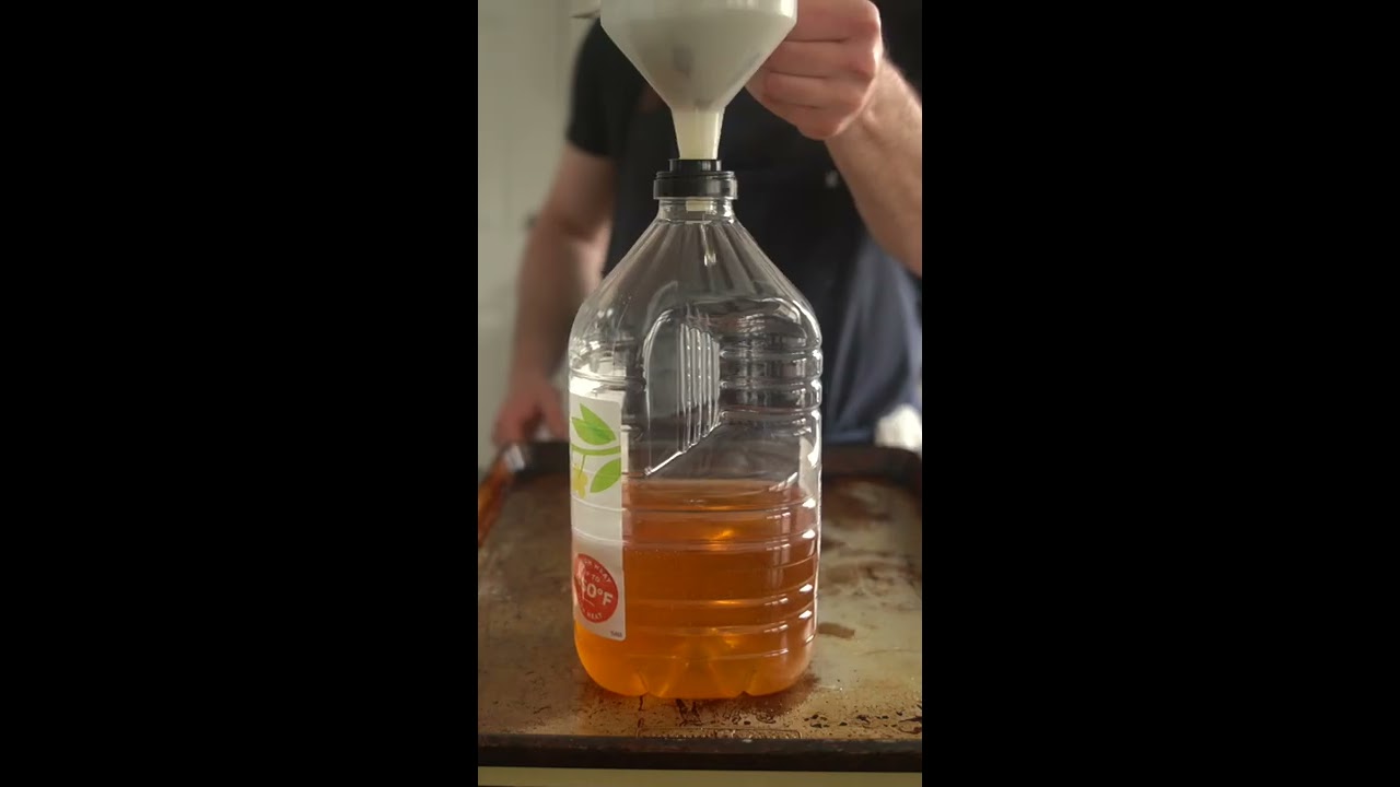 Never Waste Frying Oil Again Shorts