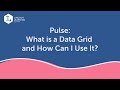 Data Grids Functionality in Pulse