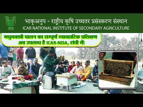 मधुमक्खी पालन का सम्पूर्ण व्यावहारिक प्रशिक्षण अब उपलब्ध है ICAR-NISA, रांची में