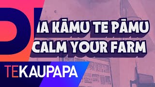 How to be funny in te reo Māori | The Project NZ