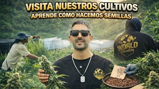 🌱Acompáñame a descubrir los entresijos de hacer Semillas!!! 