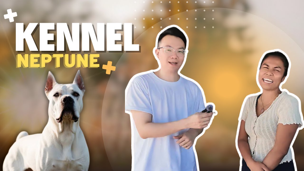 EP60: ရှယ်ကြမ်း ရှယ်ဖြဲ ရှယ်မိုက်တဲ့ Guard Dogsတွေရှိတဲ့ Kennel Neptune Myanmar