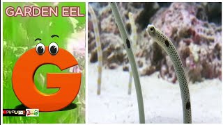 ABC Phonics With Sea Animal | Song for Toddlers | Phonics Sounds | A for Apple | ABCD Phonic Songs