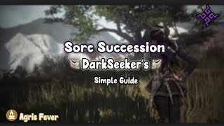 Sorc Succ Dark Seekers Guide | 16k+ trash/h 100% LS --- 309k (No debo set/V BS offhand)