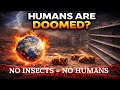 If Insects Went Extinct, Humans Would Follow