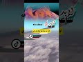 لابد من ساعة بها تعرف قدر حبي المرحوم ابوبكر سالم 