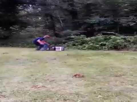 Microwave explosion