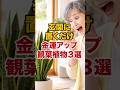 玄関に置くだけ 金運アップ 植物3選