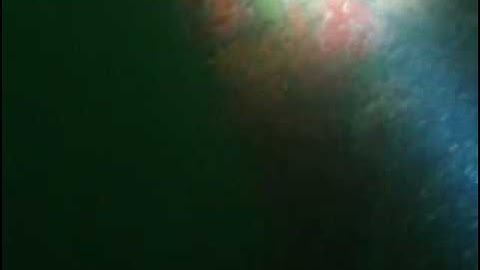 Diving the wreck of the Ruby E with the Liquid Image VideoMask 310