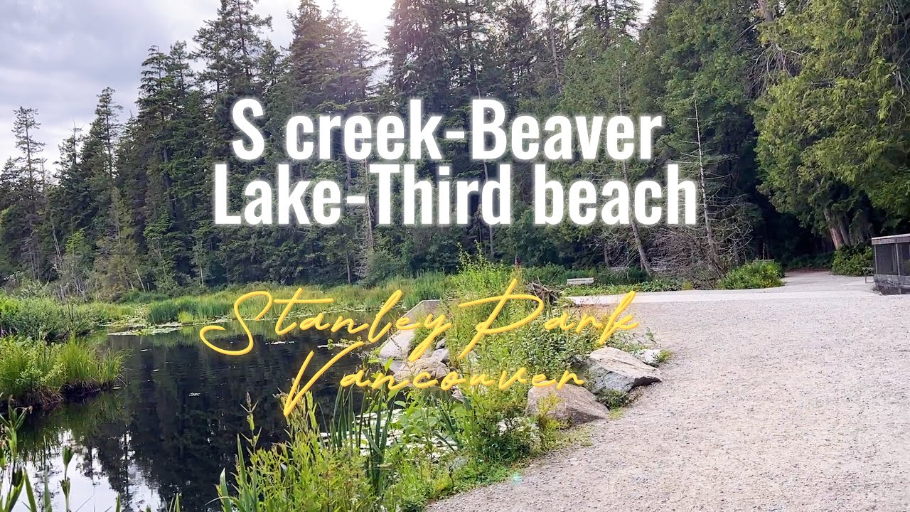 Exploring Vancouver's Spectacular Beaver Lake Trail | [ 4K ] [ 60fps] 