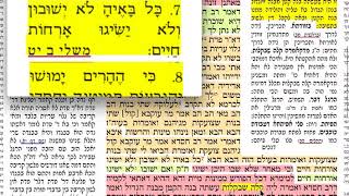 מסכת עבודה זרה דף י״ז 17 יז חמישי ט״ז שבט תשע״ח