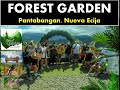 Forest garden in pantabangan nueva ecija