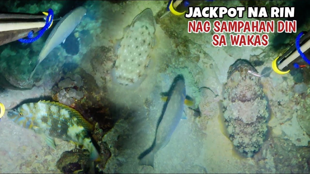 EP 377: JACKPOT NA RIN NAG SAMPAHAN DIN SA WAKAS Night Spearfishing Philippines