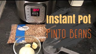 Instant Pot Pinto Beans | HOW TO MAKE PERFECT PINTO BEANS | NO soaking necessary screenshot 5