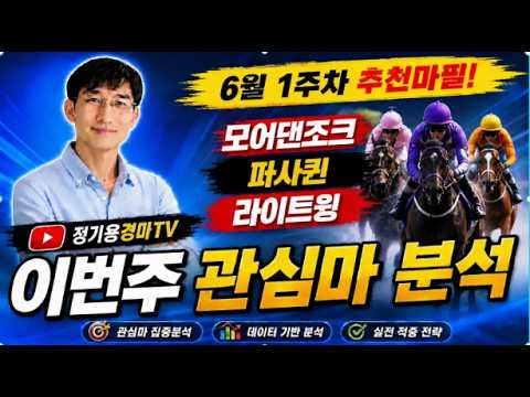 [정기용경마TV]🟢🎯 6월1주차 서울경마 관심마분석 🔷완벽한승리 대상경주 🐴경주마골절사고 기수,조교사은퇴🔴