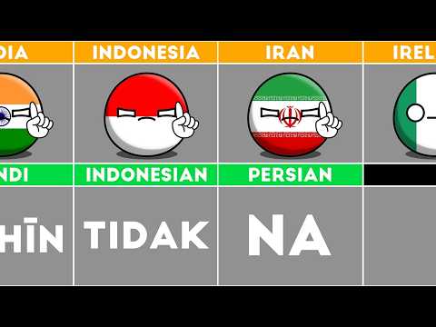 How To Say Zebra In Different Languages