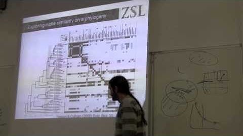 BITC / Data Capture - Phylogenetic Modeling 1