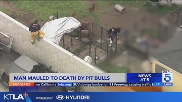 Compton pit bull breeder mauled to death by his own dogs