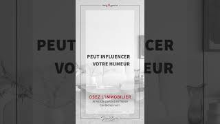 Celebrity Romuald Barisio - Les impacts psychologiques des espaces d'un bien immobilier - megAgence Wealth