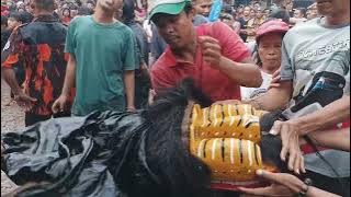 Janturan Terbaru Ebeg Trubus Mekar Jaya Klampok