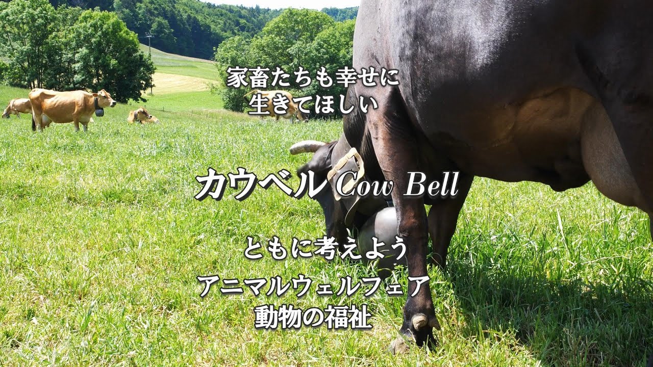 カウベル（Cowbell）