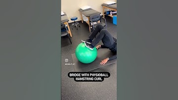 Bridge progression exercises  #physicaltherapy #fypシ #fitness #youtubeshorts