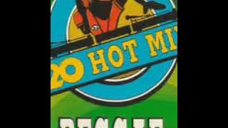 20 Hot Mix Reggae 1994