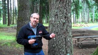Tree Drilling
