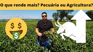 O que consome mais água a agricultura ou a pecuaria?