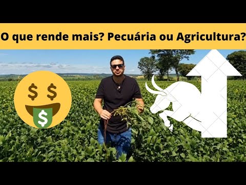 Vídeo: Como os fazendeiros ganham dinheiro?